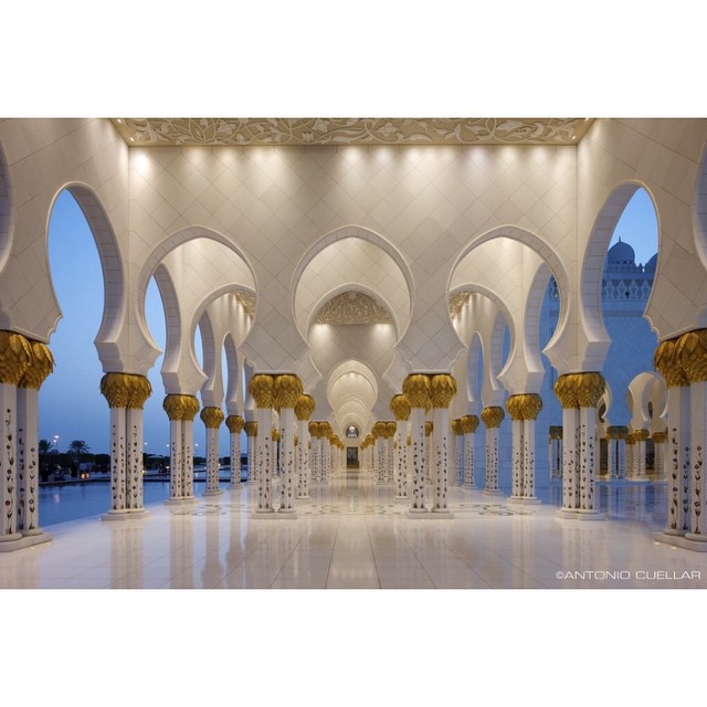 11150702_822314294490199_6278361562360657968_n